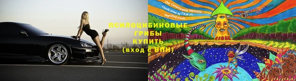 винт Арсеньев