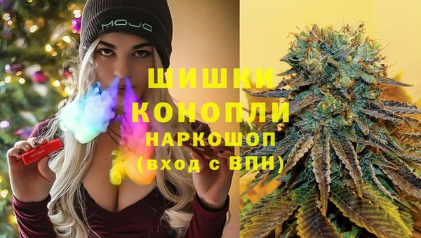 винт Арсеньев
