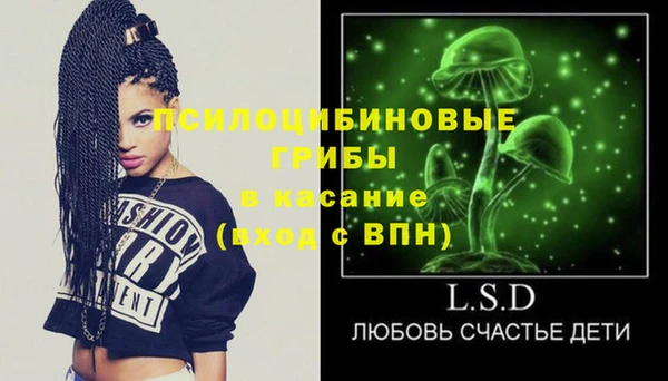 винт Арсеньев