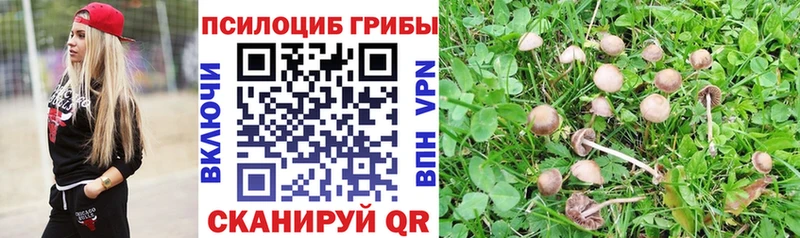 наркота  ссылка на мегу как войти  Галлюциногенные грибы GOLDEN TEACHER  Баймак 